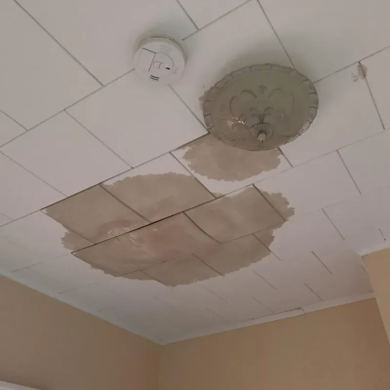 Ceiling Water Damage Repair in Cornelius, NC