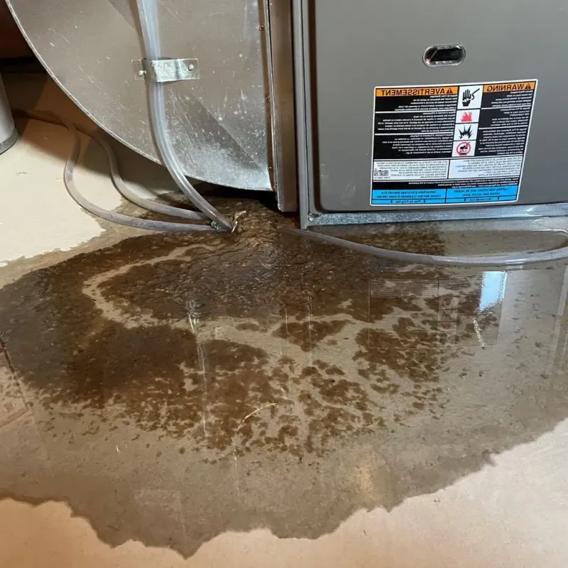 Pipe Burst and Leak Restoration in Cornelius, NC