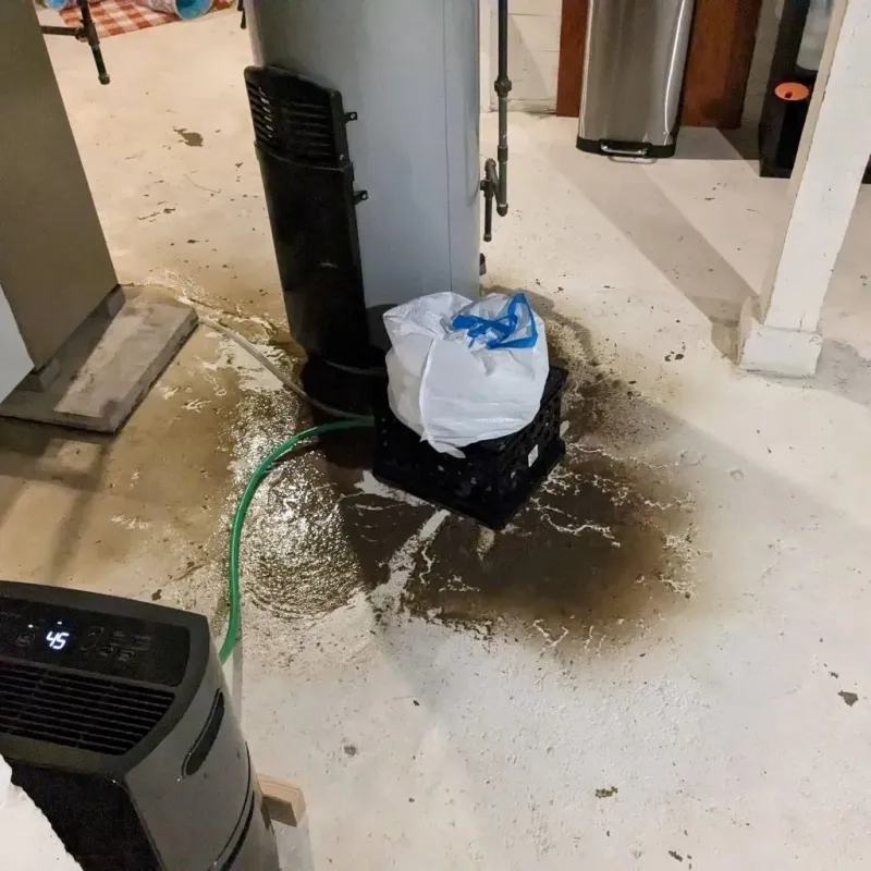Sewage Backup Cleanup Service in Cornelius, NC